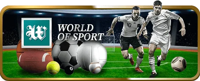 Biểu đồ các cấp bậc VIP và lợi ích tương ứng của bmwbet app