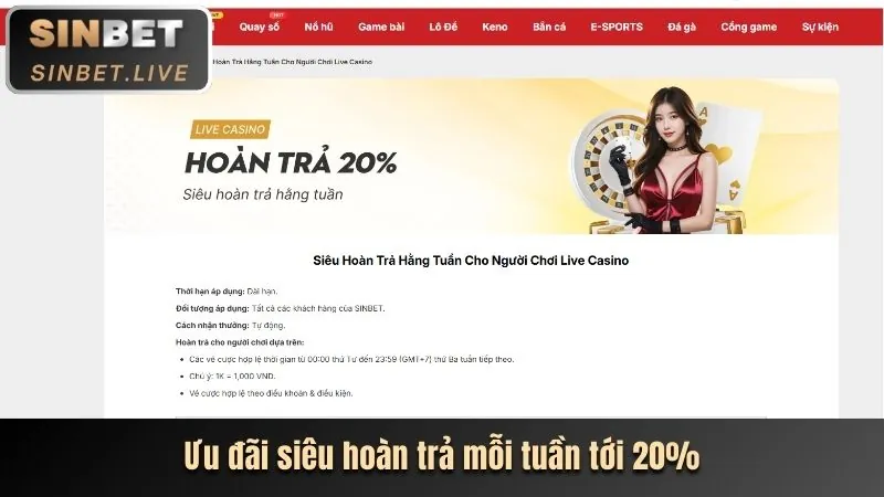 Hoàn trả hàng ngày bmwbet app